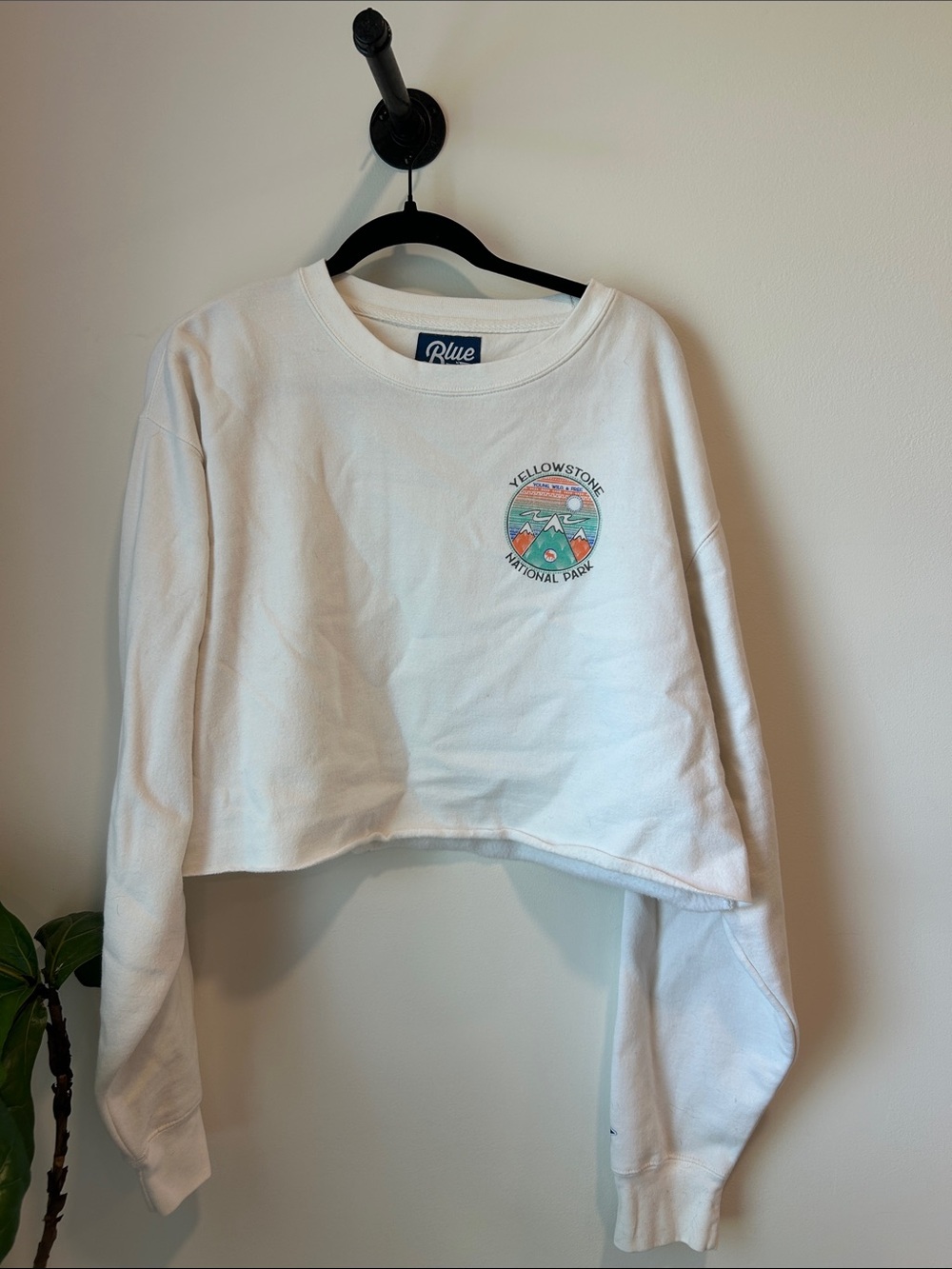 Blue 84 Yellowstone Cropped Crewneck — White